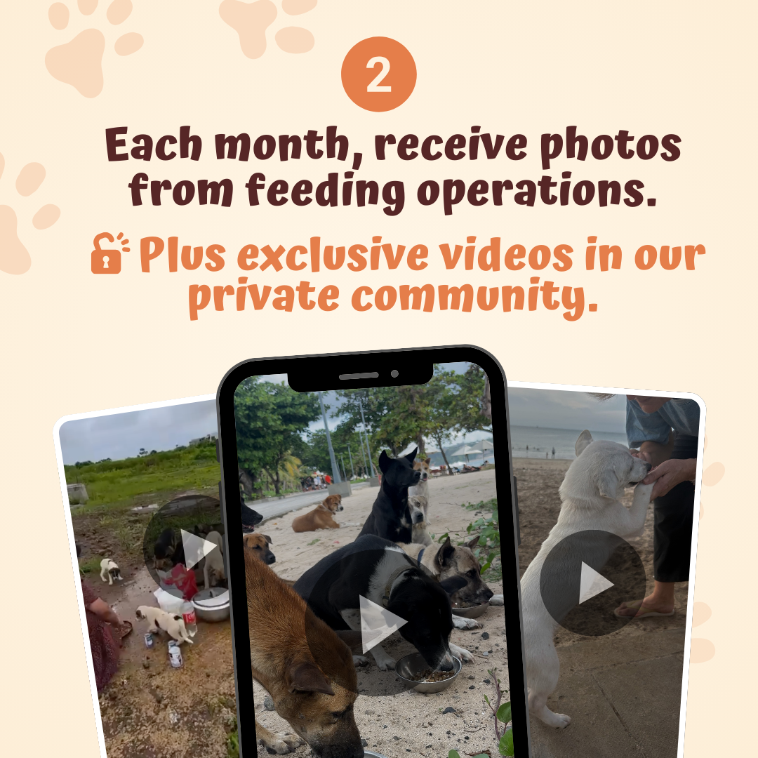 Der monatliche Rescue Pets Club