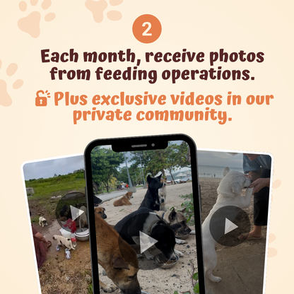 Der monatliche Rescue Pets Club