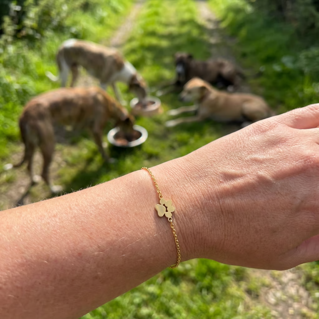 Amoria Armband