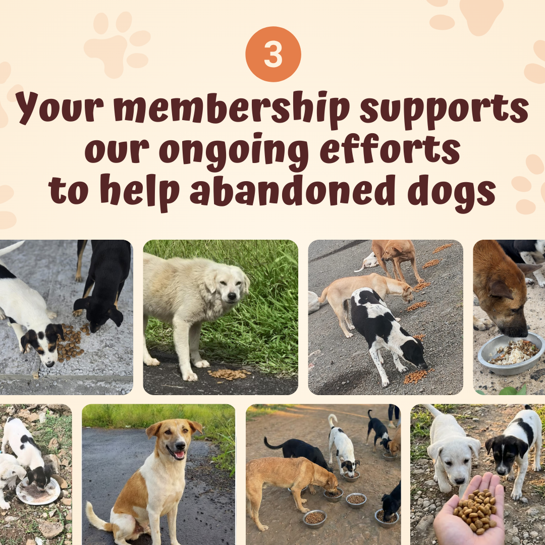 Der monatliche Rescue Pets Club